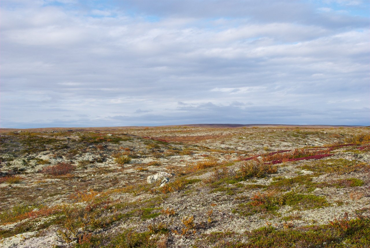 Pöyrisjärvi Wilderness Area