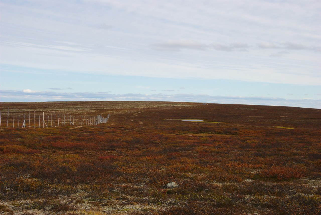 Pöyrisjärvi Wilderness Area