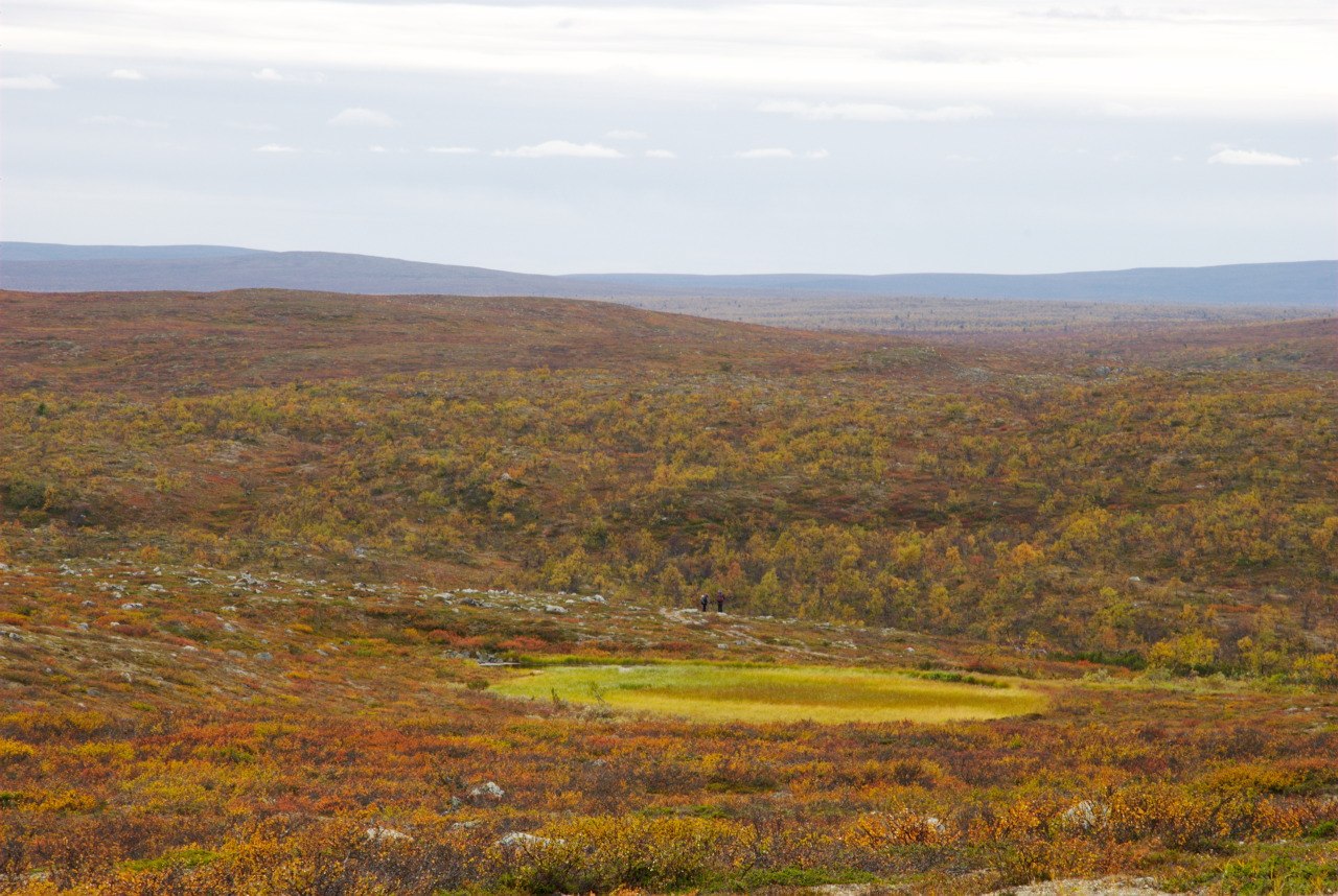 Pöyrisjärvi Wilderness Area