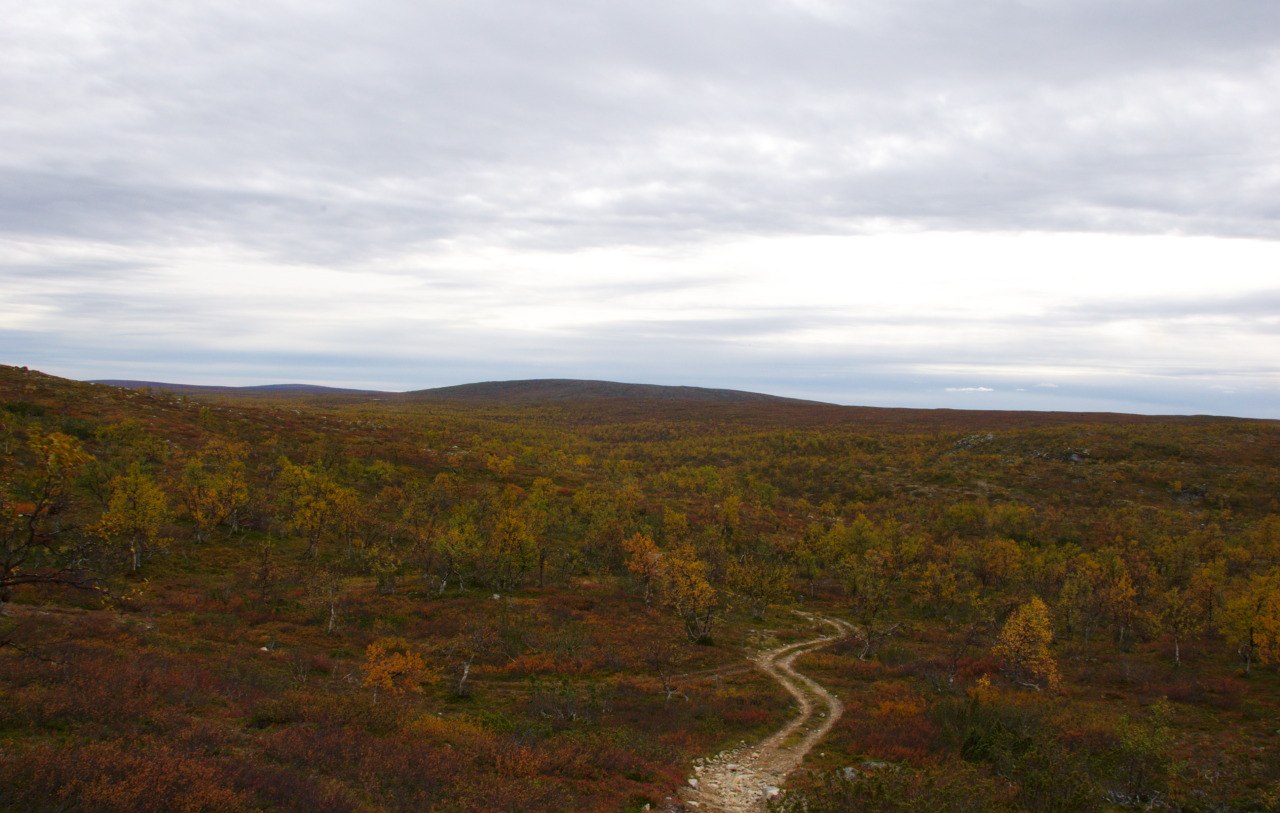 Pöyrisjärvi Wilderness Area