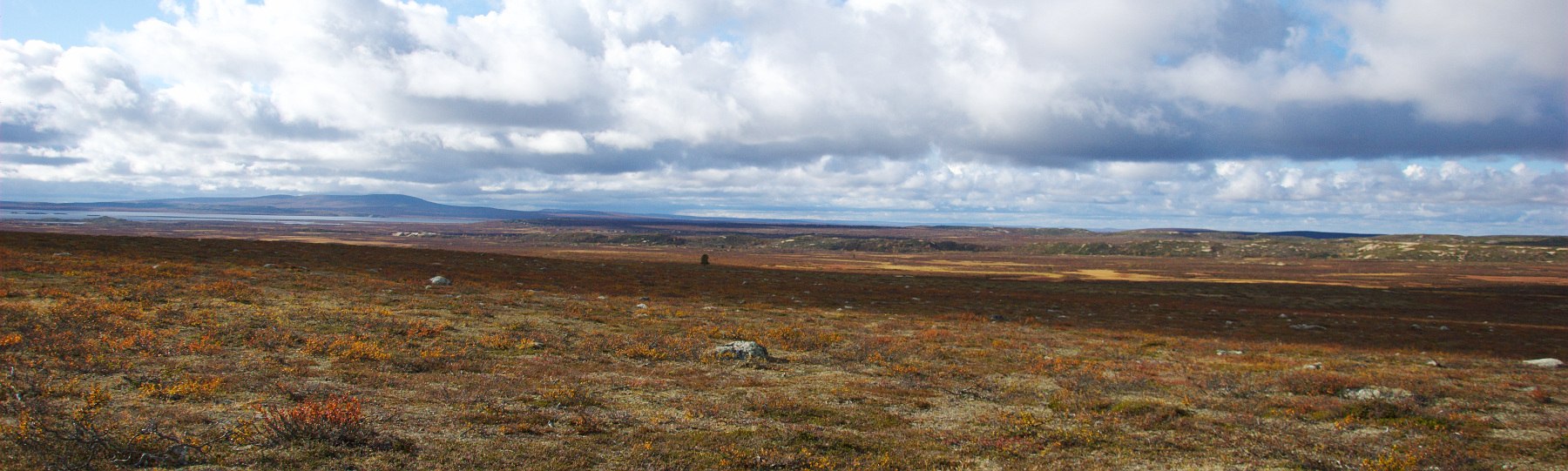 Sand Dunes, North of Pöyrisjärvi