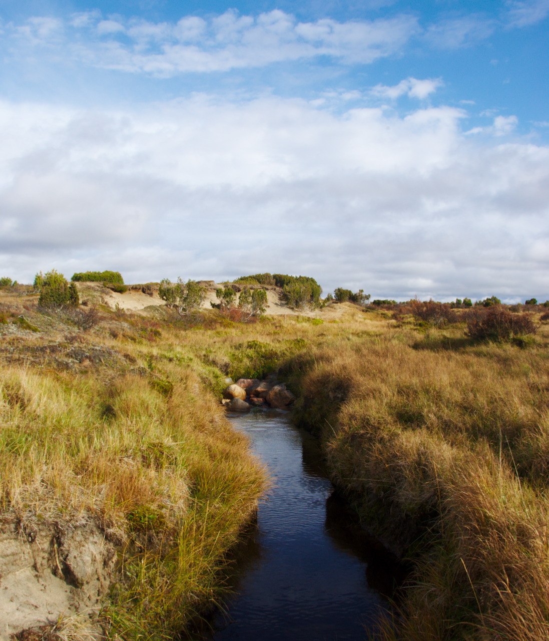 Pöyrisjärvi Wilderness Area