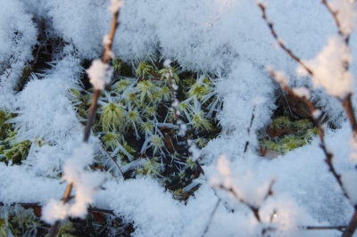 Pahtajärvi