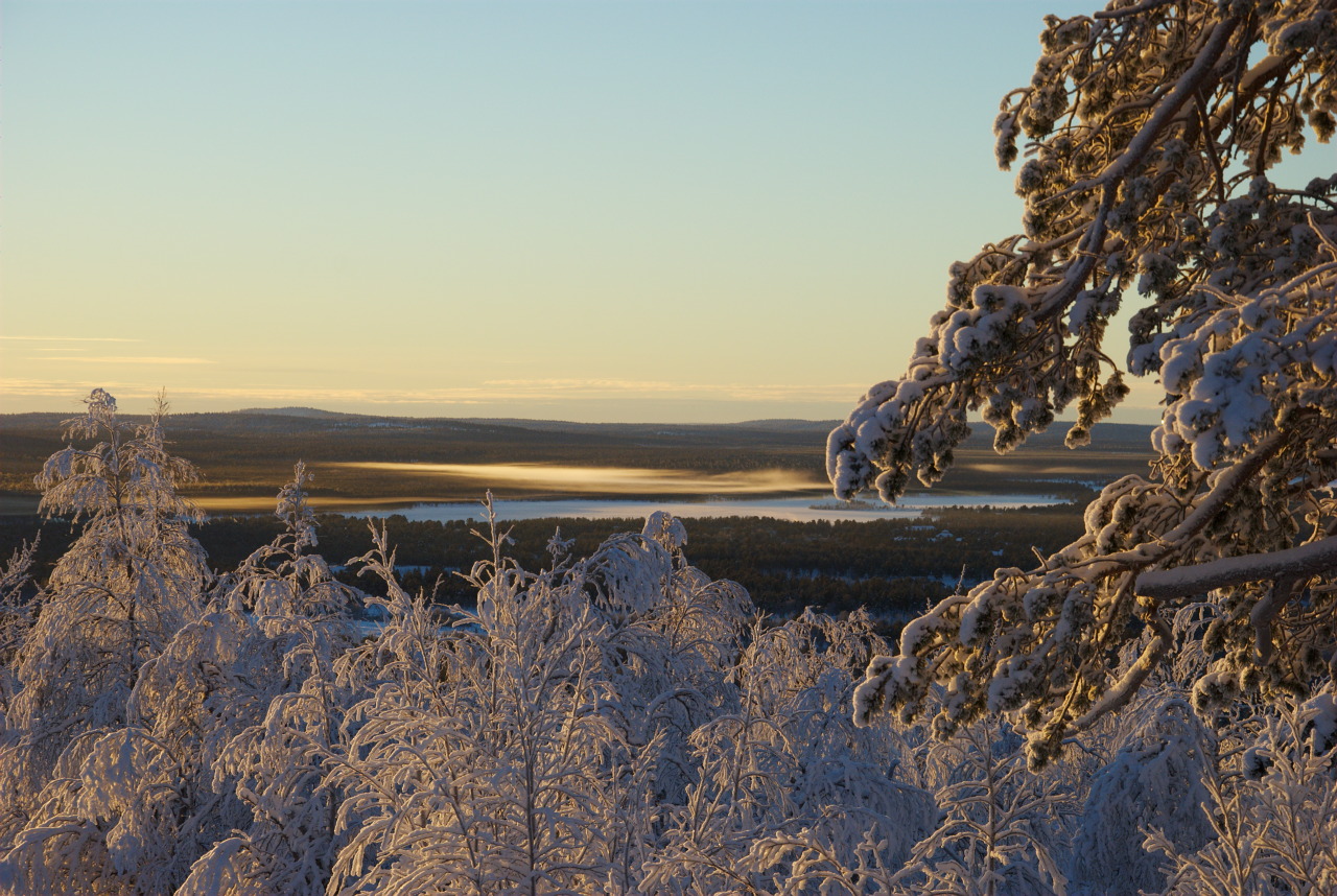 Jyppyrävaara