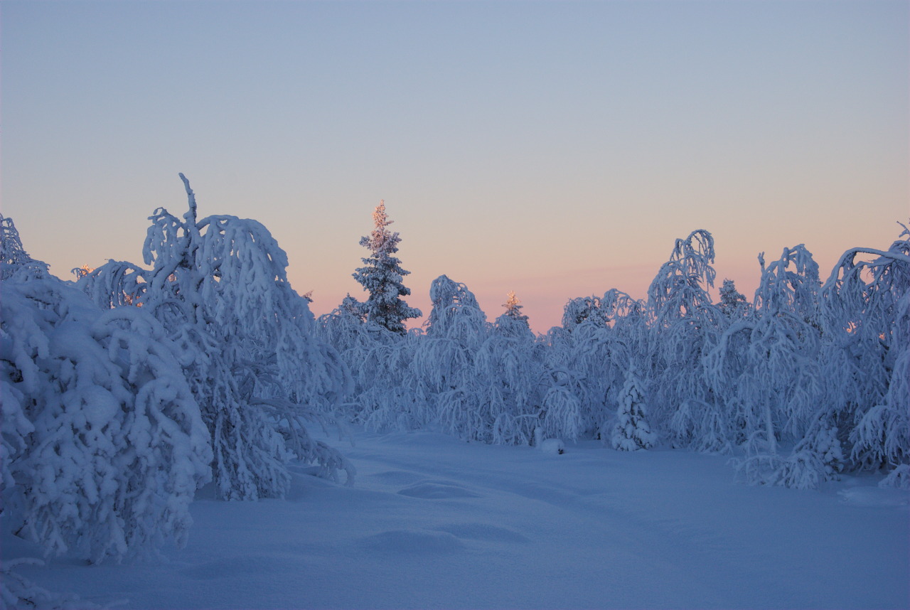 Jyppyrävaara