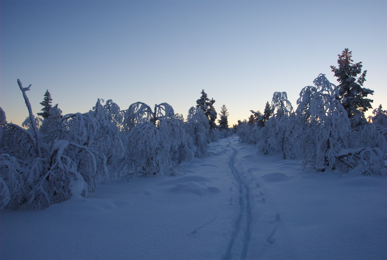 Jyppyrävaara