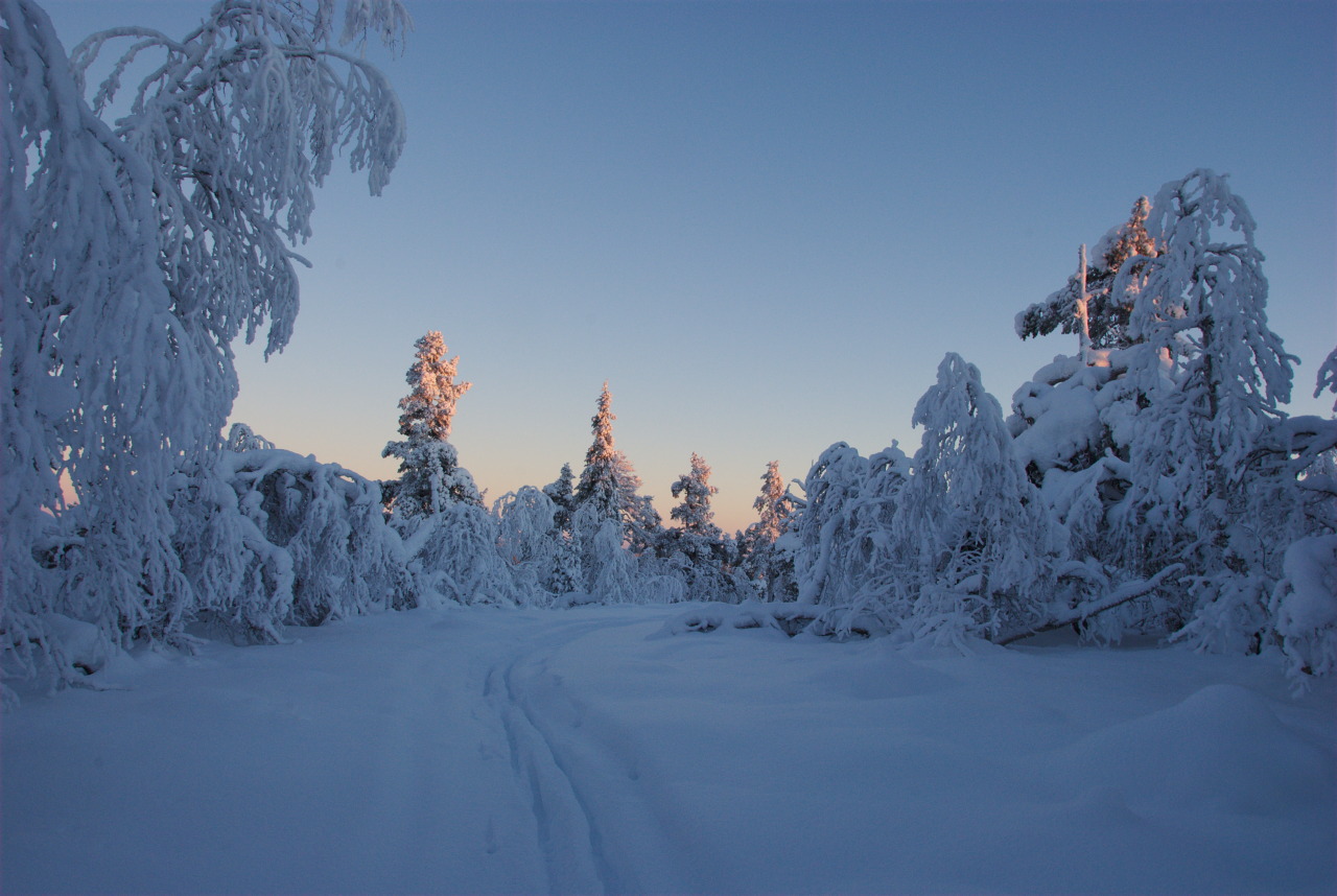 Jyppyrävaara