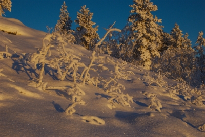 Jyppyrävaara
