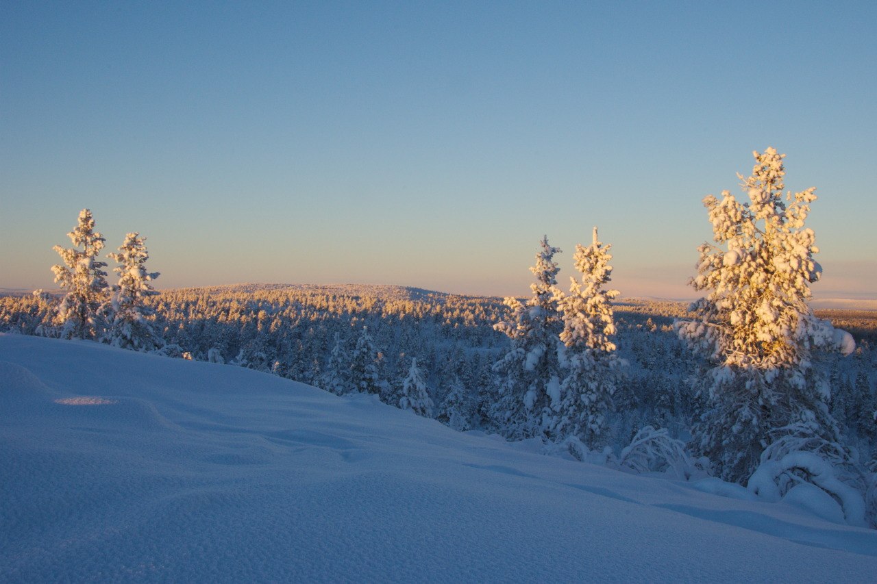 Jyppyrävaara