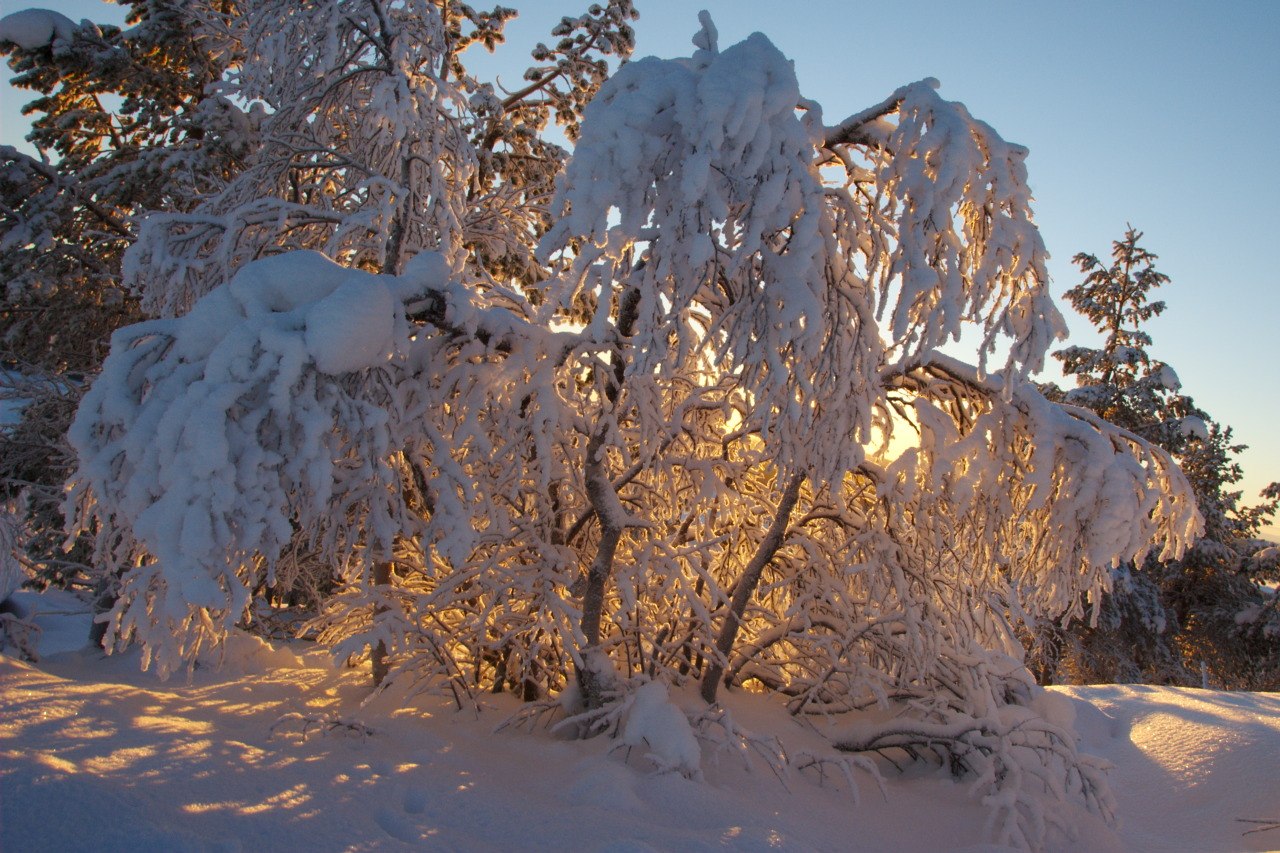 Jyppyrävaara