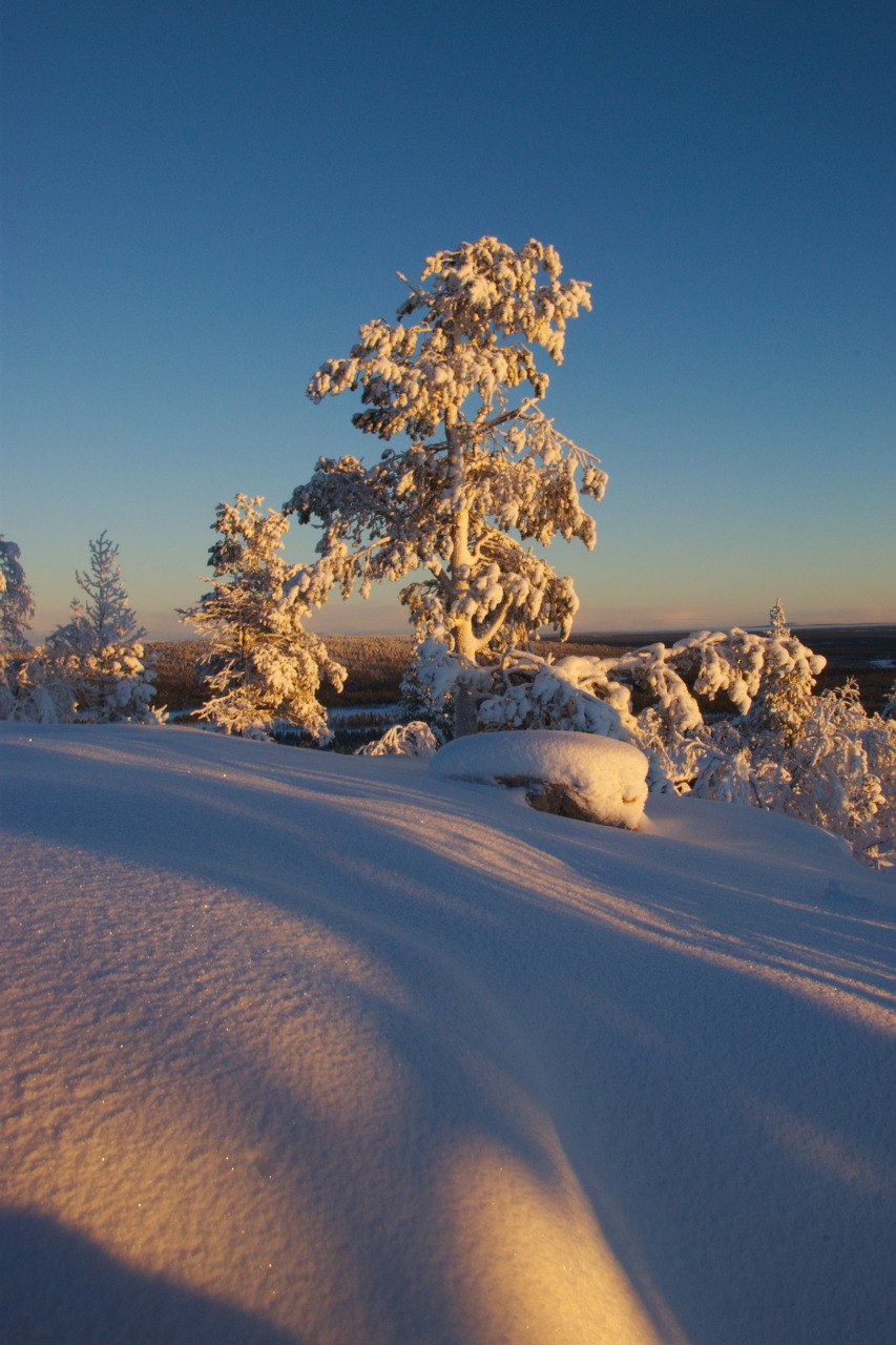 Jyppyrävaara