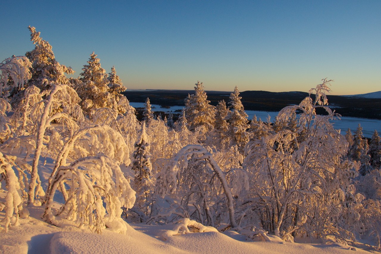 Jyppyrävaara
