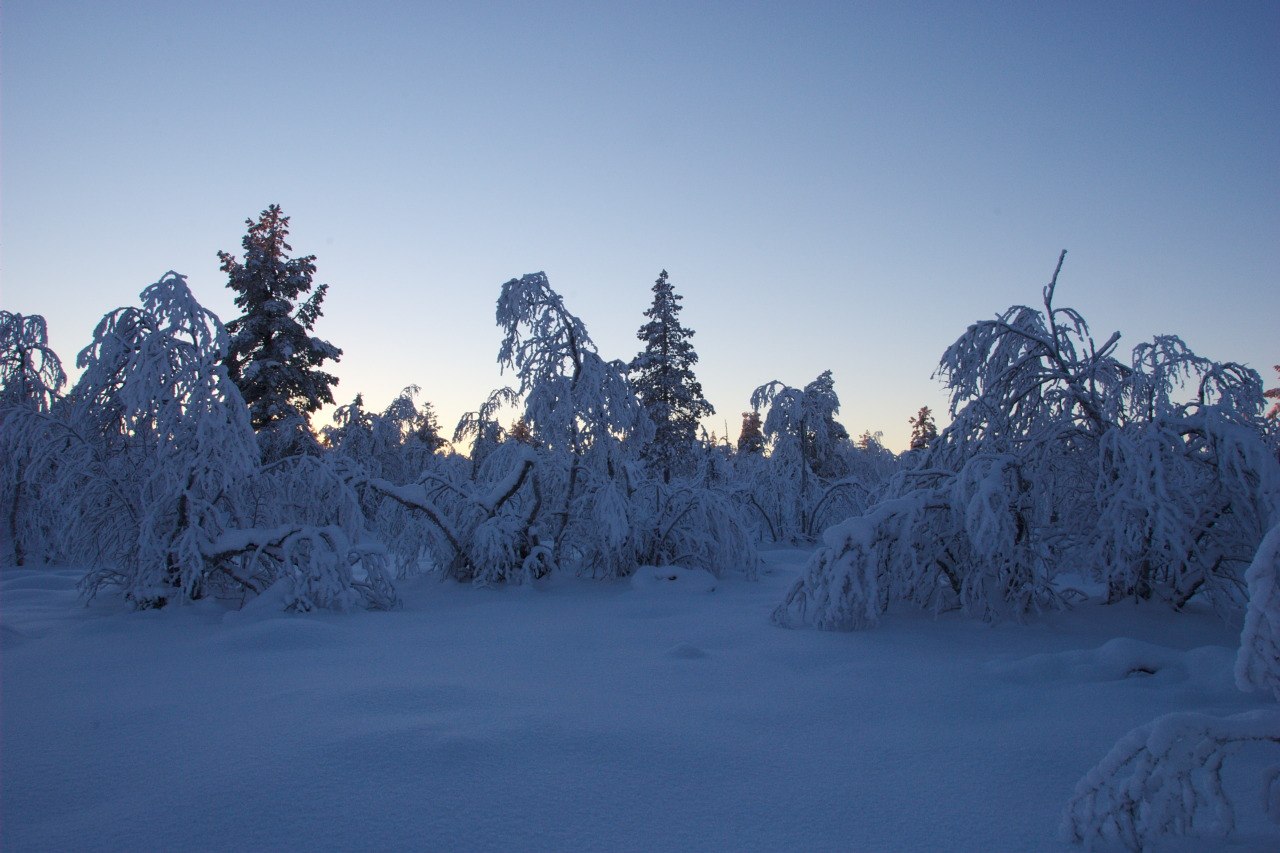 Jyppyrävaara