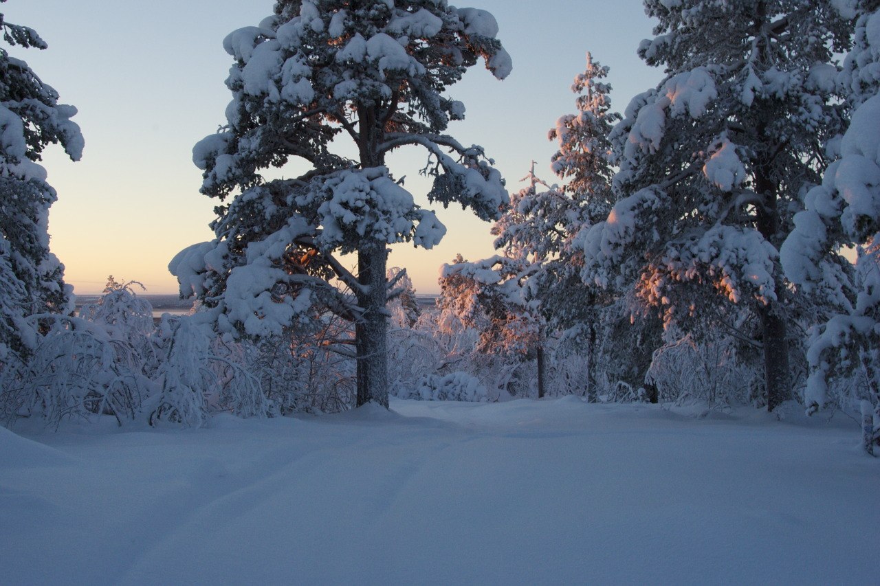 Jyppyrävaara