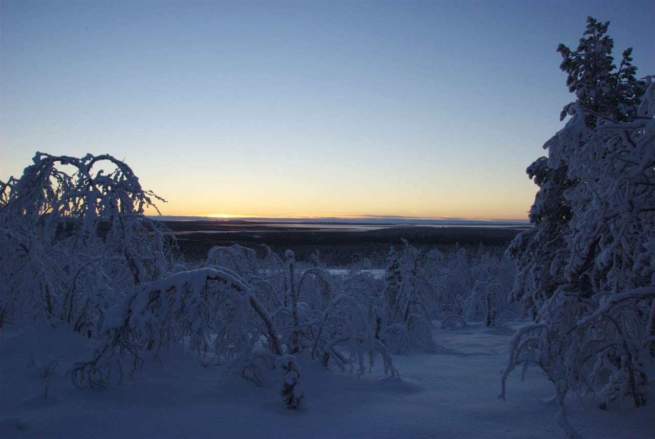 Lappi