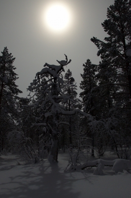 Pahtajärvi