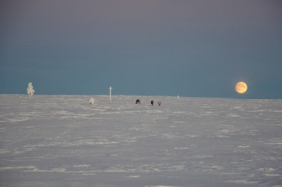 During Polar Night to Hannukuru
