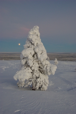 During Polar Night to Hannukuru