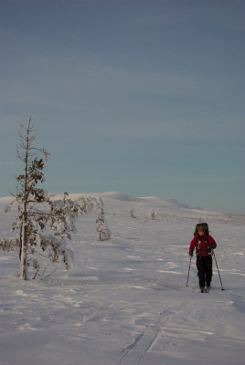During Polar Night to Hannukuru