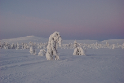 During Polar Night to Hannukuru