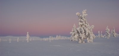 During Polar Night to Hannukuru