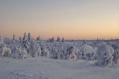 During Polar Night to Hannukuru