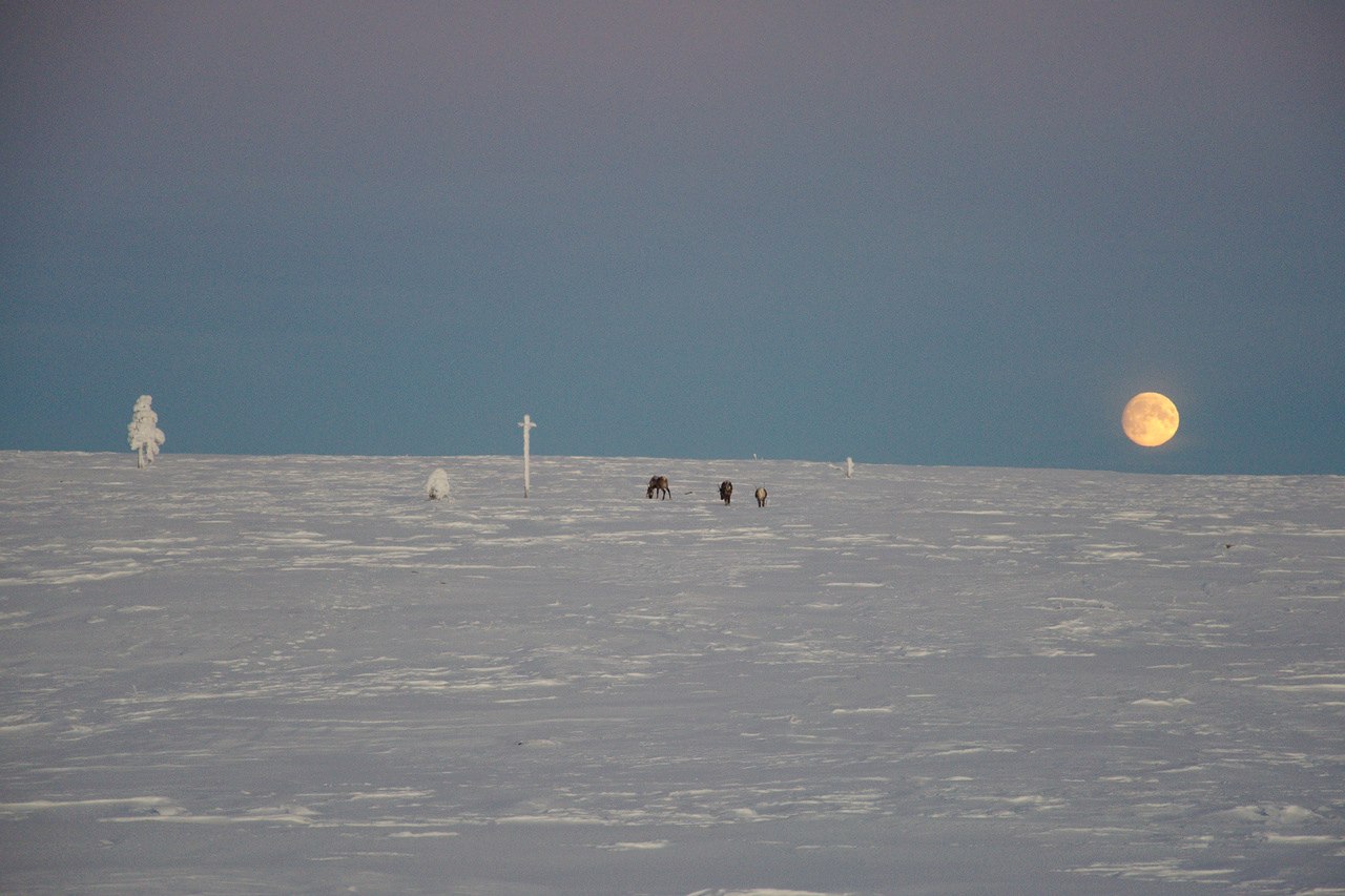 During Polar Night to Hannukuru