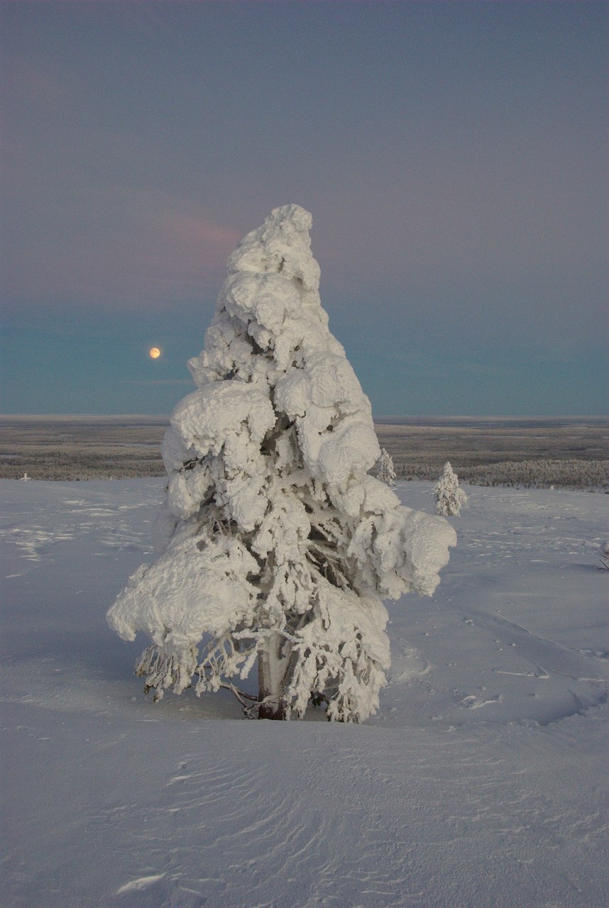 During Polar Night to Hannukuru