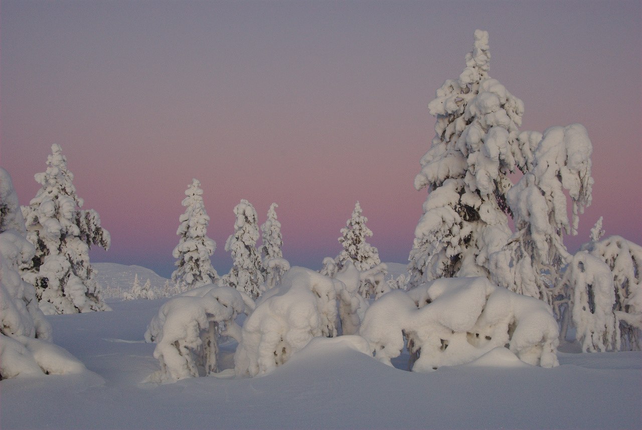 During Polar Night to Hannukuru