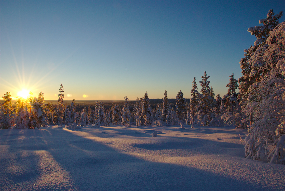 Skiing in the sun, on Pahtajärven Polku