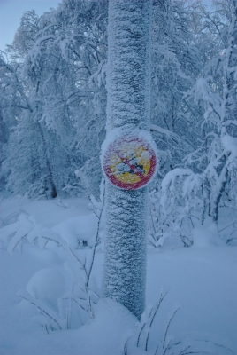 No Snowmobiles Allowed - Nice Theory ;-)