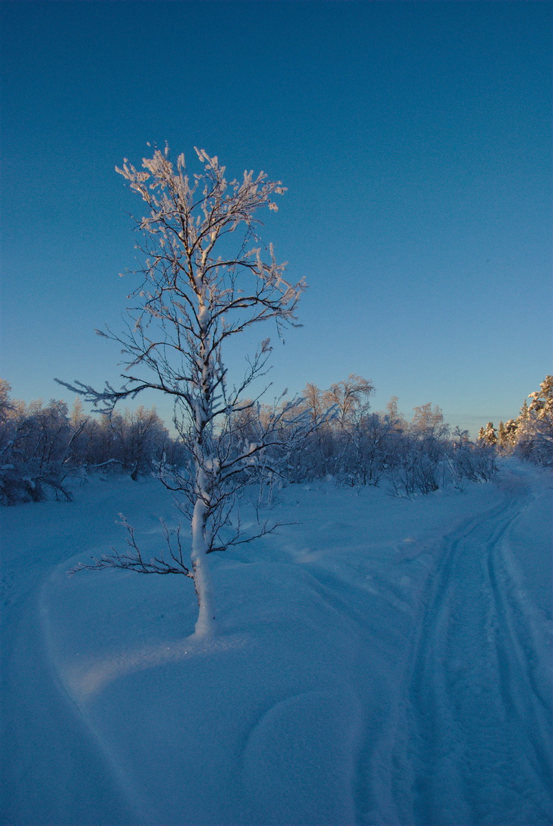 Skiing to Pahtajärvi