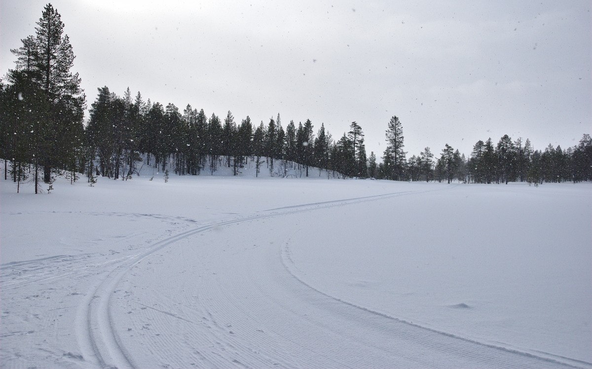 Arriving at Savilampi