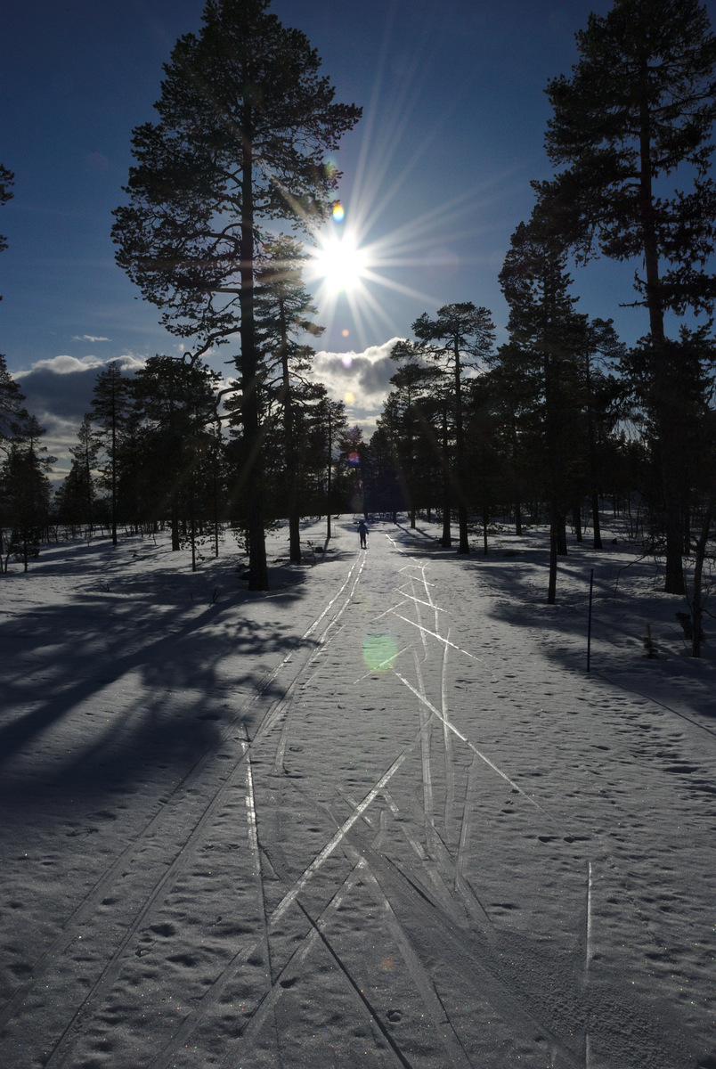 Skiing to Rautujärvi