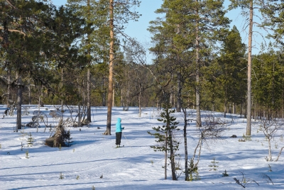 Skiing to Rautujärvi