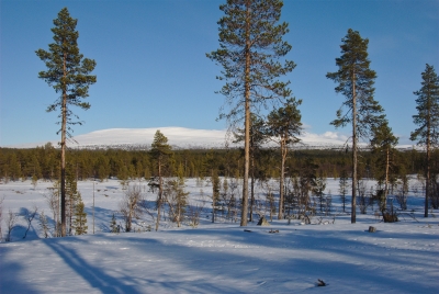 Pyhäkero