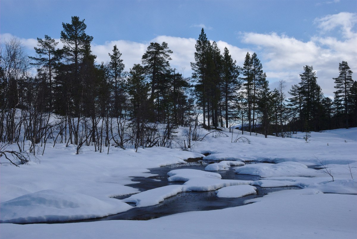 Skiing to Rautujärvi