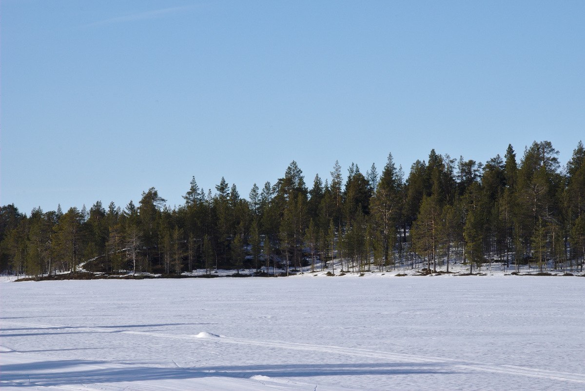 Rautujärvi