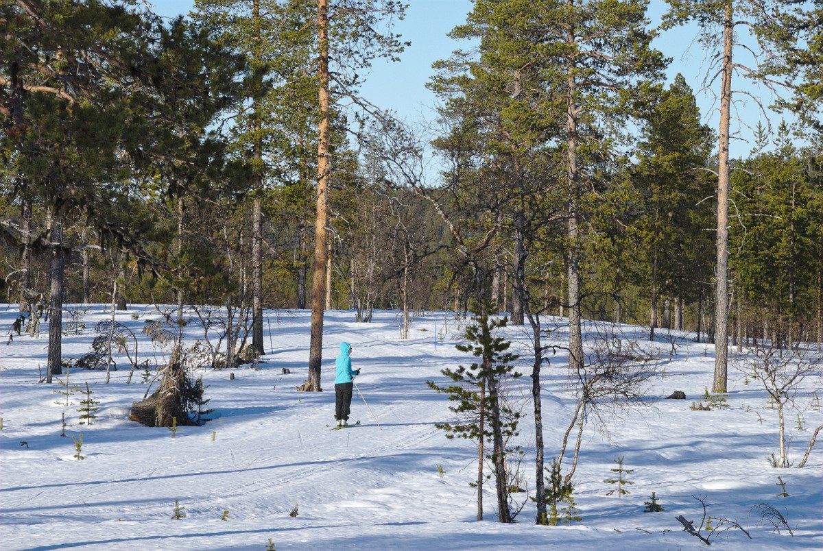 Skiing to Rautujärvi