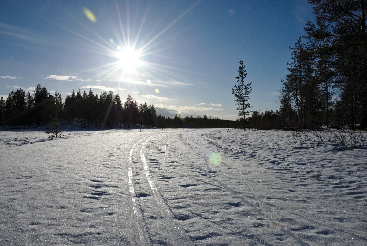 Skiing tracks