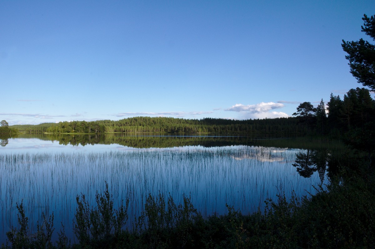Ounasjärvi