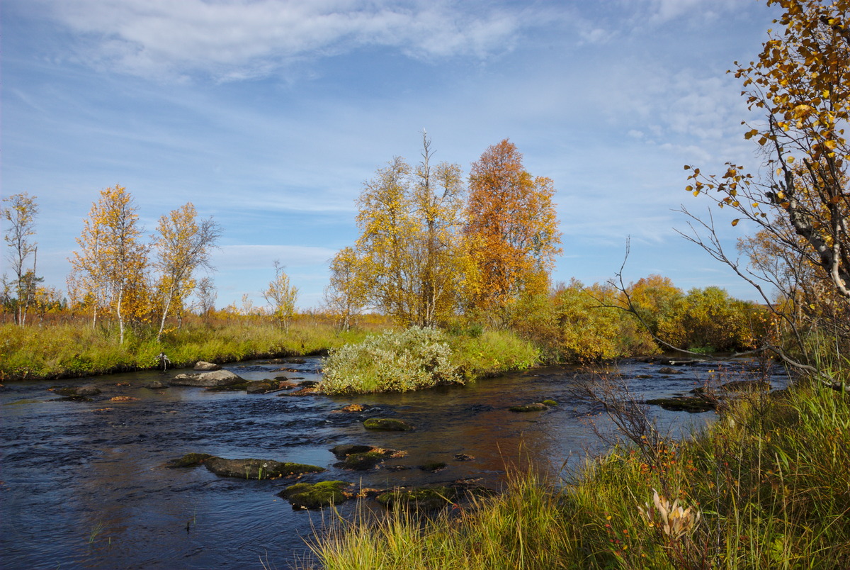 Näkkäläjoki