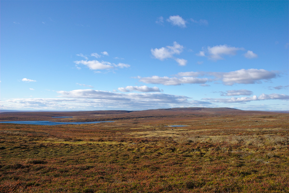 Olkojärvi and Tundra Area