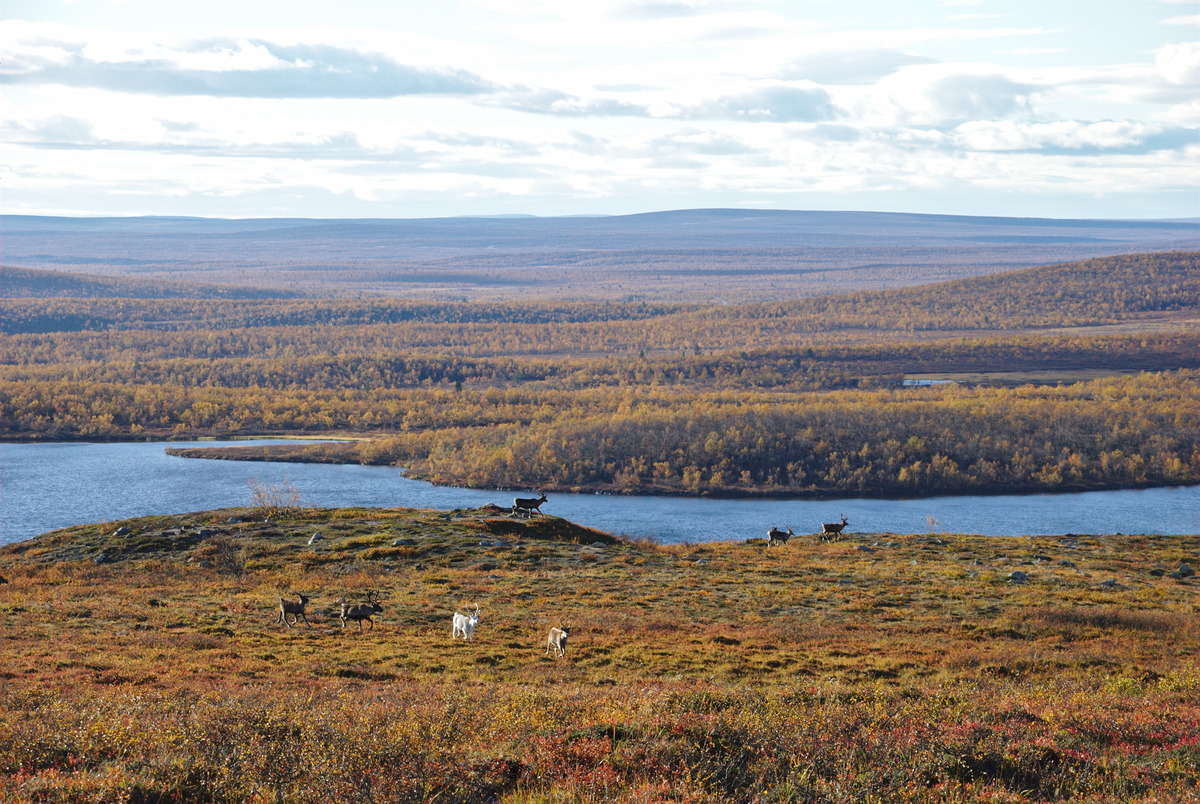 Olkojärvi