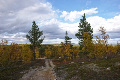 Hiking to Olkojärvi