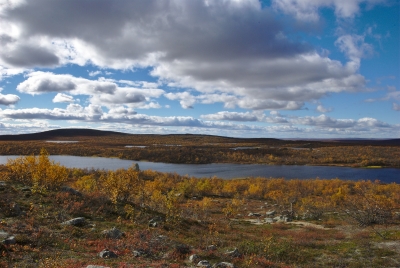Olkojärvi