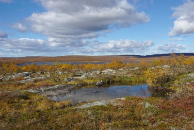 Olkojärvi