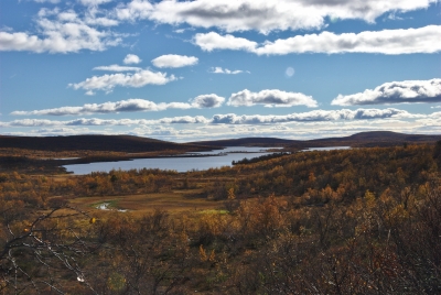Olkojärvi