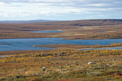 Olkojärvi
