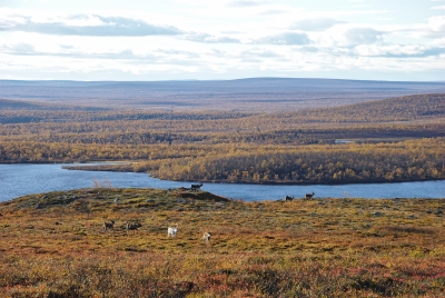 Olkojärvi